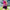 AKIV FLUX RD 2-in-1 Multi-Pocket Running Shorts (Unisex) - Inner Tights Version
