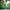 OTSO Cycling Socks High Cut Fluo Green