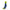 OTSO Multisport Socks Medium Cut Electric Blue & Fluo Yellow